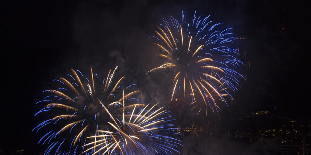 Feuerwerk im Sommer wie zuletzt am Züri Fäscht Anfang Juli sind für Wasservögel problematisch: Scharenweise ergreifen sie die Flucht und lassen dabei teils ihre Jungen zurück. (Archivbild) Feuerwerk im Sommer wie zuletzt am Züri Fäscht Anfang Juli sind für Wasservögel problematisch: Scharenweise ergreifen sie die Flucht und lassen dabei teils ihre Jungen zurück. (Archivbild)
