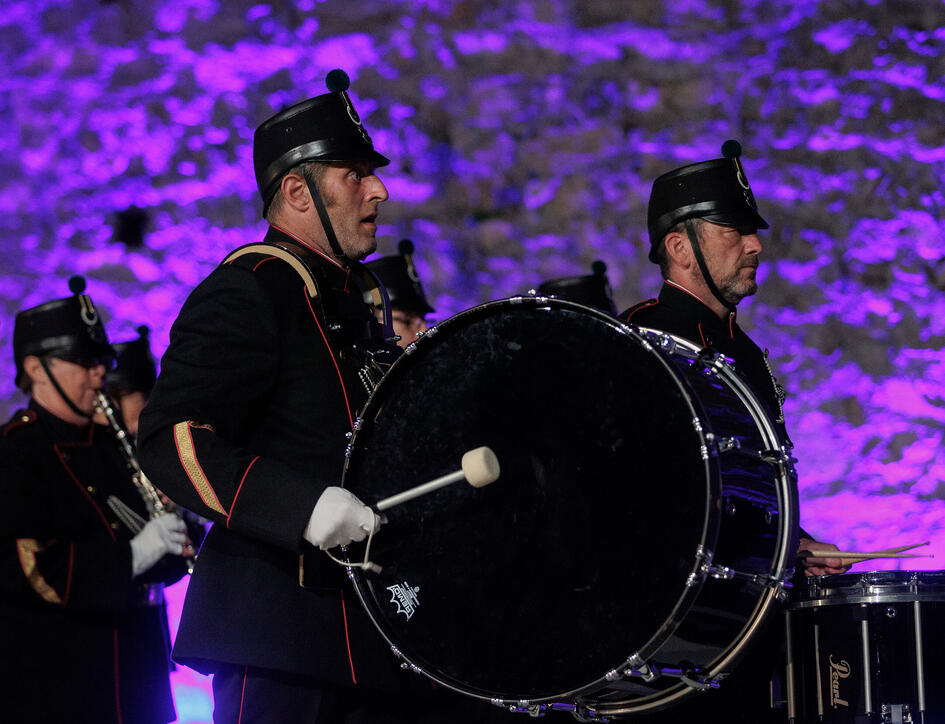 The Princely Liechtenstein Tattoo in Schellenberg