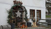 Christkindlimarkt in Oberschan