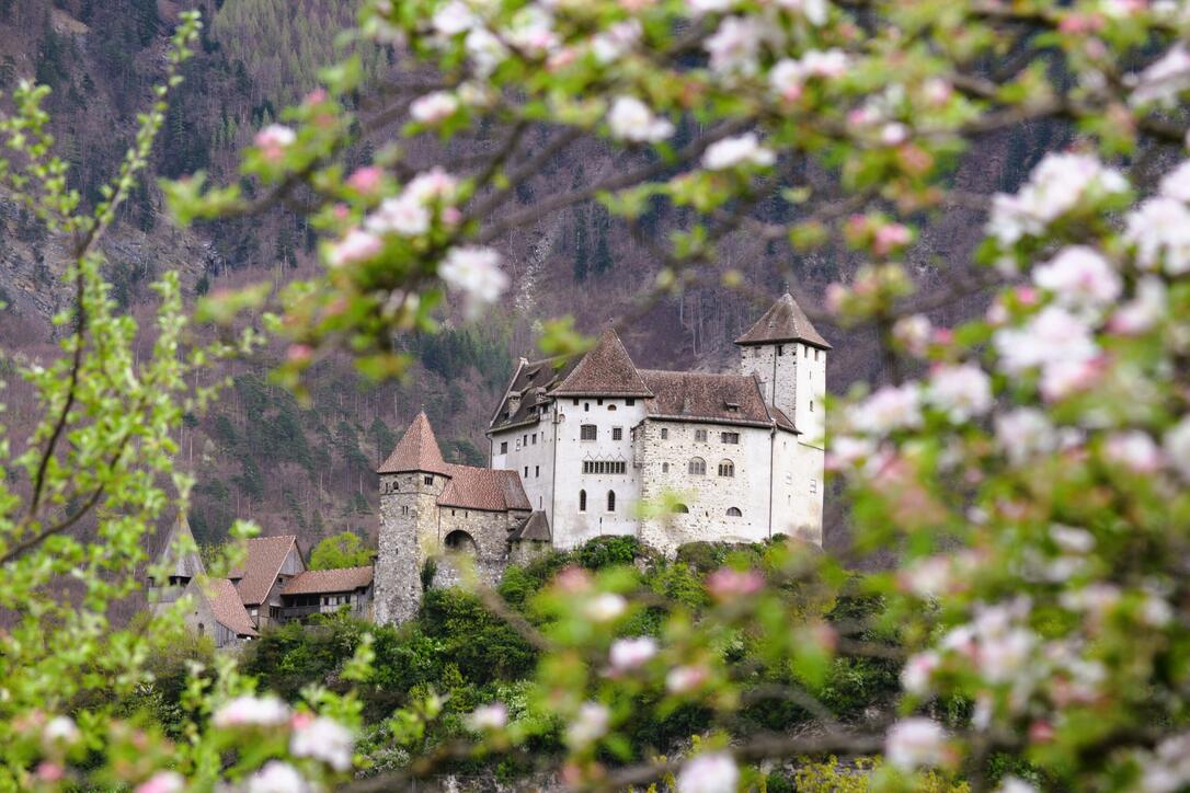#näherdran-Fotowettbewerb Balzers