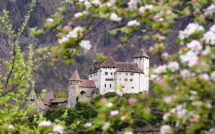 #näherdran-Fotowettbewerb Balzers