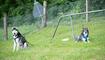 Hundeplausch Balzers (20.06.2026)