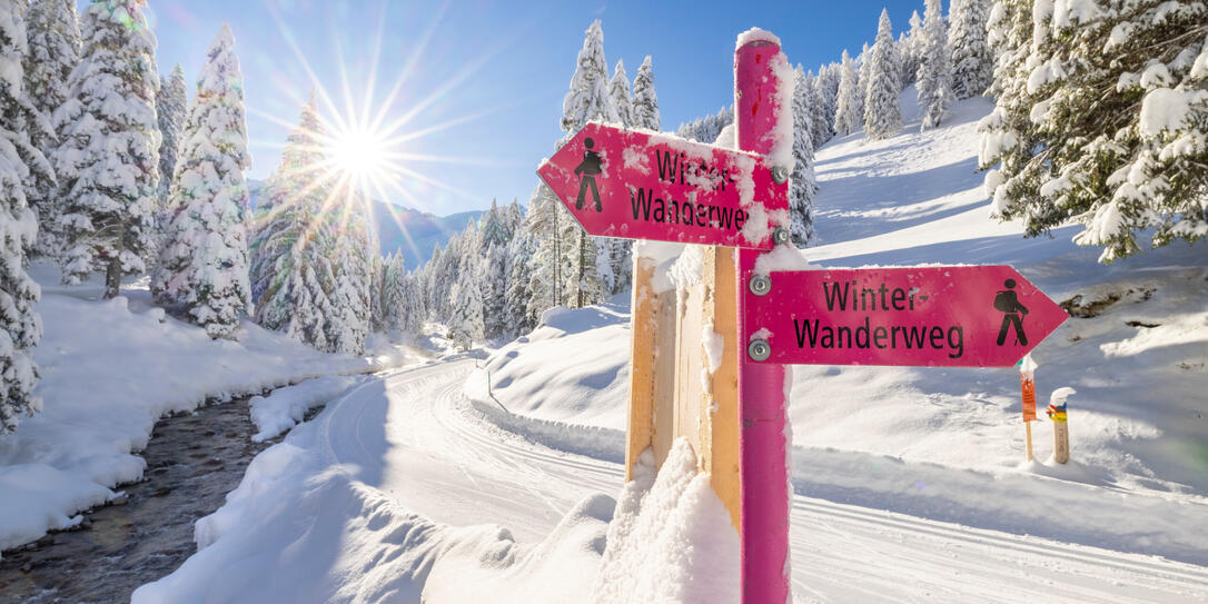 Winter in Steg