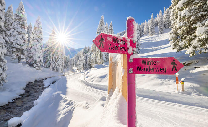 Winter in Steg