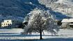 Winterwunderland Liechtenstein (03.12.23)