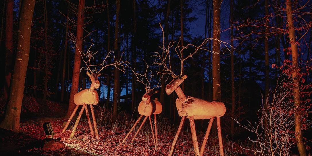 Lichterwald in Nendeln