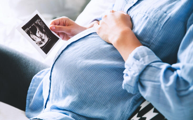 Beautiful pregnant woman at home.