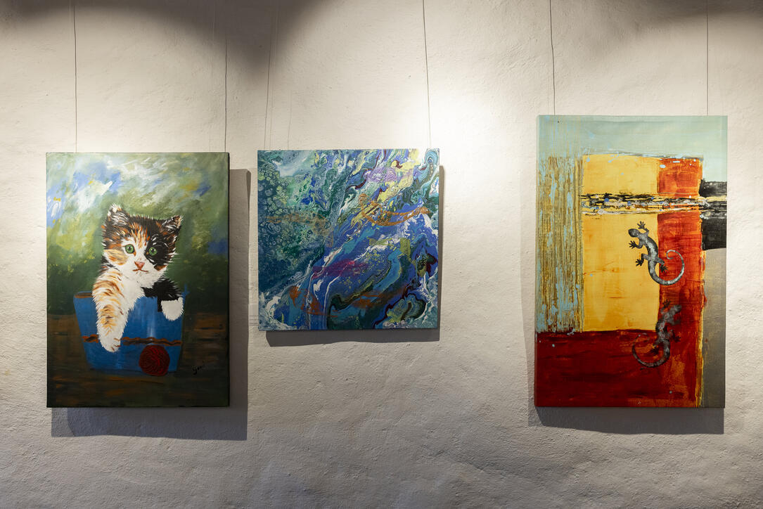 Ausstellung «Auf leisen Pfoten» in Werdenberg