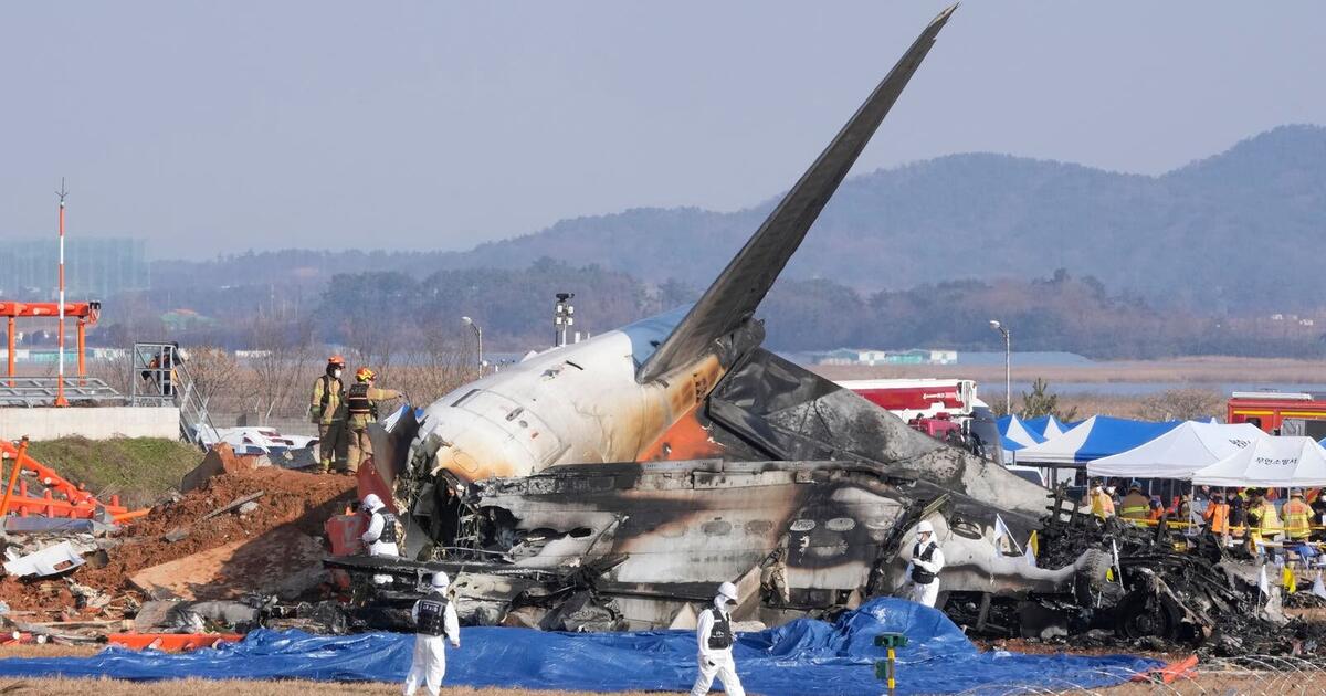 Flugzeugabsturz in Südkorea Vaterland online