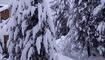 Winterwunderland Liechtenstein (03.12.23)