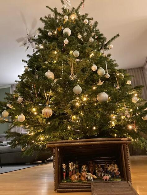 Fotowettbewerb: Zeig uns Deinen Christbaum 2022