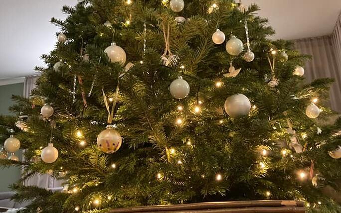 Fotowettbewerb: Zeig uns Deinen Christbaum 2022