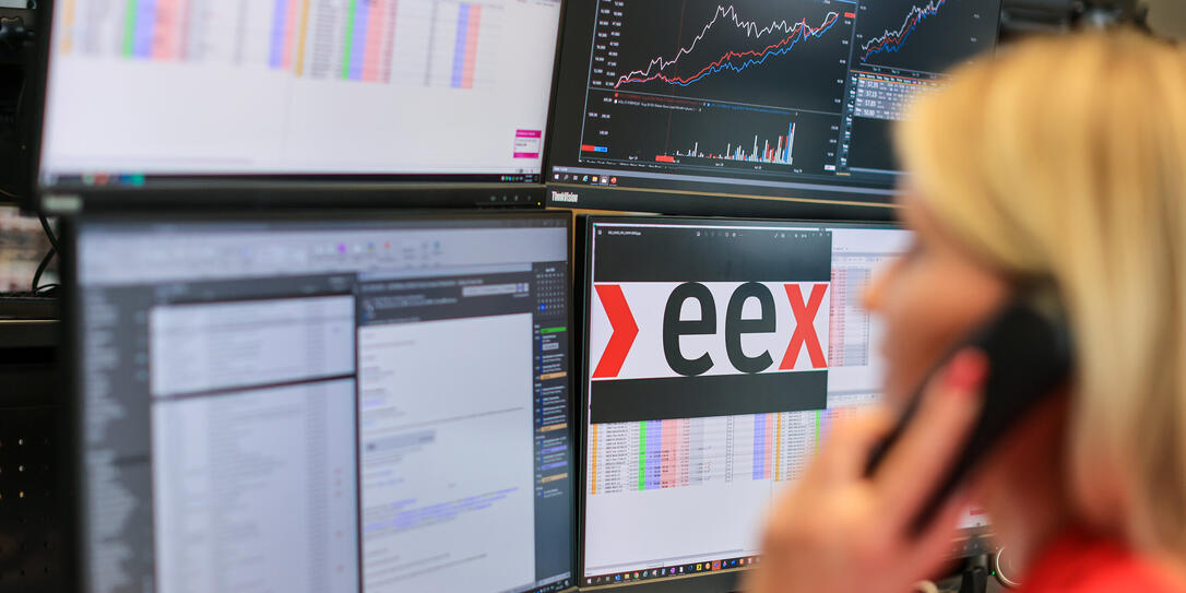 Strombörse EEX (European Energy Exchange)