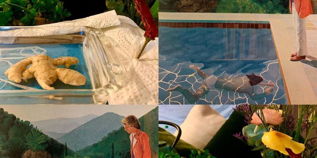 Amüsante Kunst-Challenge: Hier eine Ingwer-Blumen-Interpretation des berühmten "Portrait of an Artist (Pool with Two Figures)" von David Hockney.