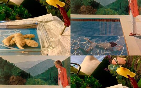 Amüsante Kunst-Challenge: Hier eine Ingwer-Blumen-Interpretation des berühmten "Portrait of an Artist (Pool with Two Figures)" von David Hockney.