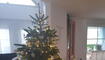 Freudenlichter
