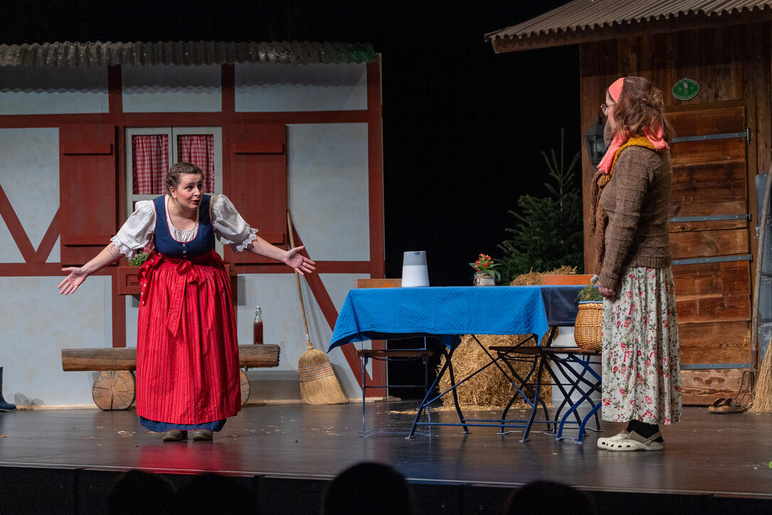 Dreik&ouml;nigsunterhaltung der Feuerwehr Vaduz (05.01.2026)