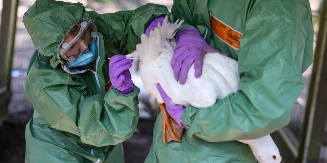 Tierseuchenübung in Hattingen Tierseuchenübung in Hattingen