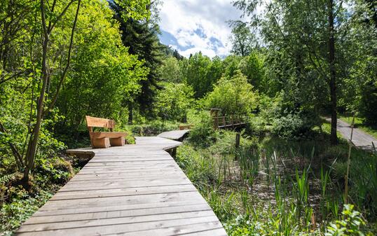 Wald- und Naturlernpfad