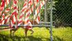 Hundeplausch Balzers (20.06.2026)