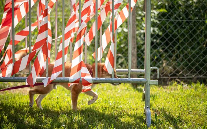 Hundeplausch Balzers (20.06.2026)