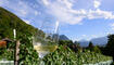 Traubenschau 2026 der Winzergenossenschaft Vaduz