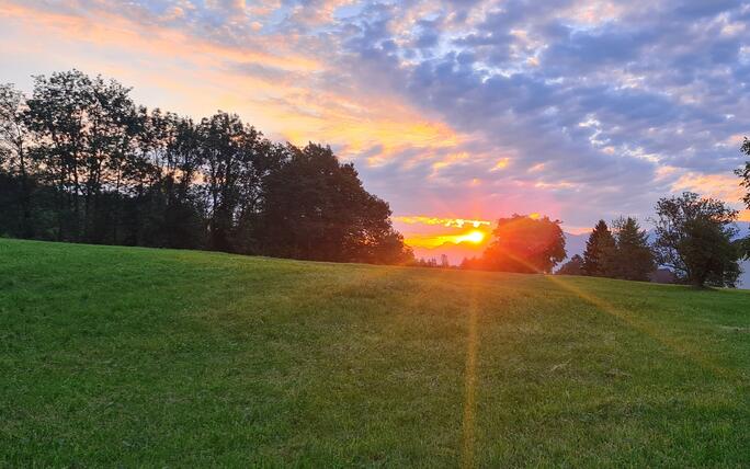 Morgenstund hat Gold im Mund