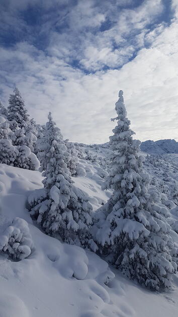 Die schönsten Ski- und Winterfotos 2018/19