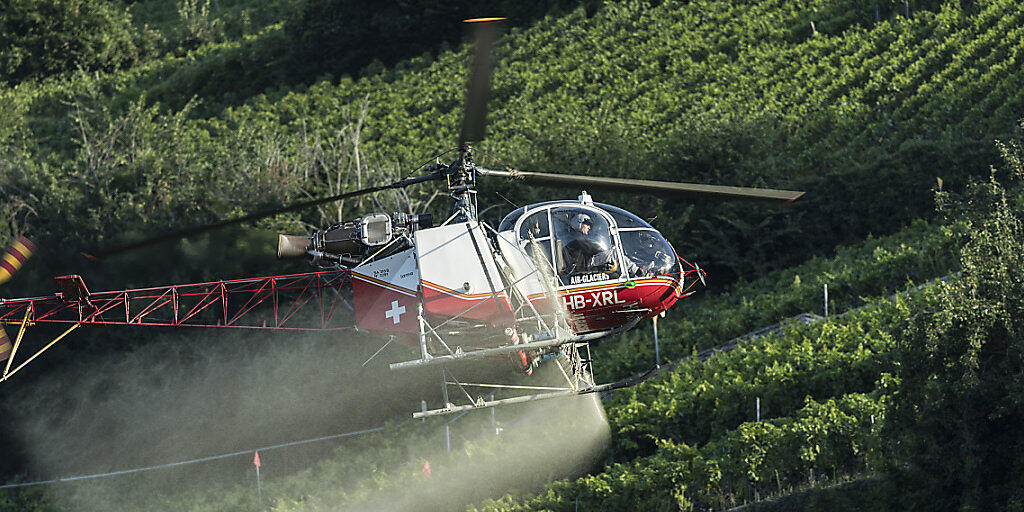 Pestizide mit den Wirkstoffen Chlorpyrifos und Chlorpyrifos-methyl sollen künftig in der Landwirtschaft nicht mehr verwendet werden dürfen. (Archivbild) Pestizide mit den Wirkstoffen Chlorpyrifos und Chlorpyrifos-methyl sollen künftig in der Landwirtschaft nicht mehr verwendet werden dürfen. (Archivbild)