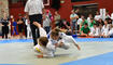 Landesmeisterschaft Judo