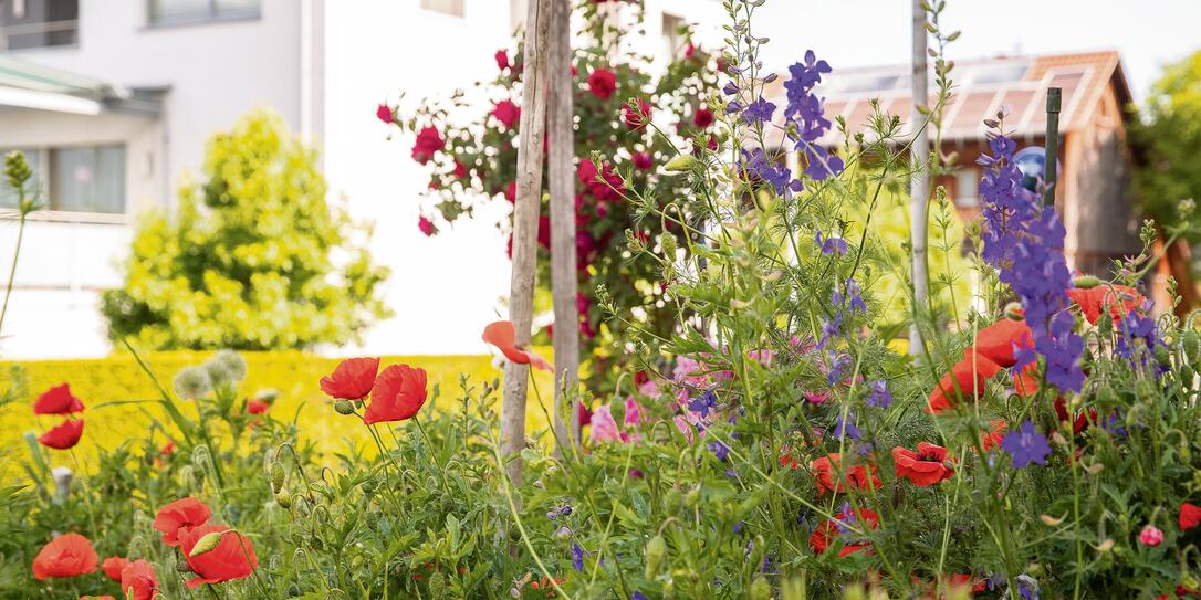 Im Garten, Schaan