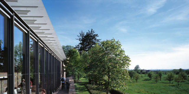 Die Fondation Beyeler ist das meistbesuchte Museum der Schweiz
