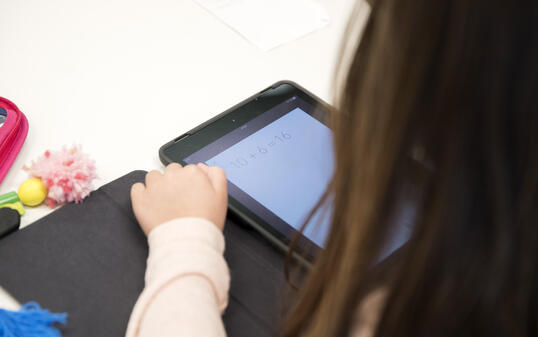 Digitale Revolution im Klassenzimmer, Ruggell