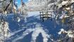 Winterwunderland Liechtenstein (03.12.23)