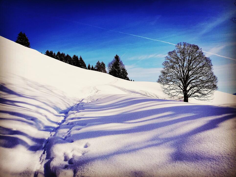 Spuren im Schnee