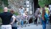 Mittelaltertage Schloss Werdenberg (05.09.2026)