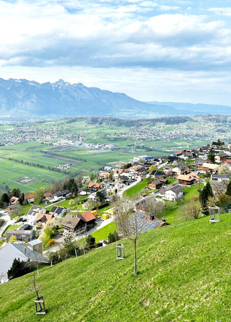 Aussicht auf Planken im Frühling 2023