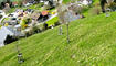 Aussicht auf Planken im Frühling 2023