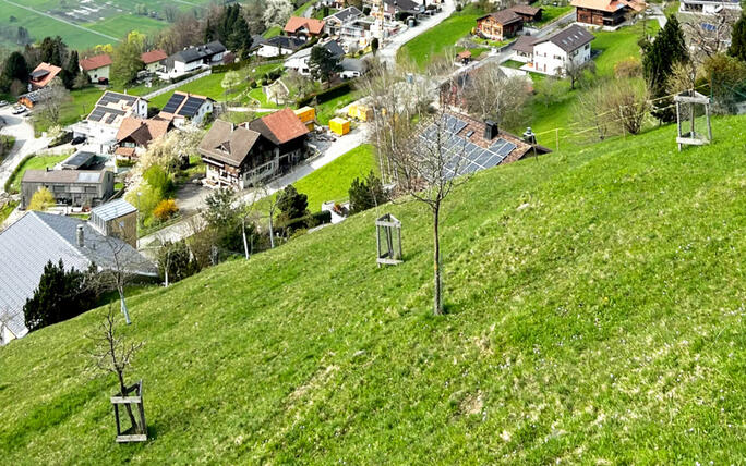 Aussicht auf Planken im Frühling 2023