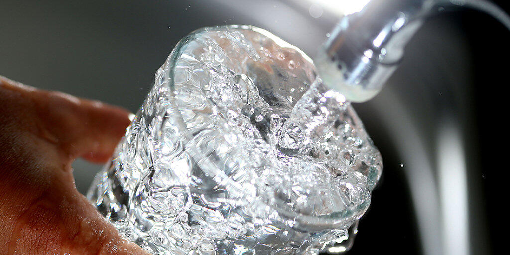 Die Trinkwasser-Initiative ist laut Komitee zustande gekommen. Sie verlangt, dass der Bund nur Bauernbetriebe unterstützt, die ohne Pestizide produzieren und ihren Tieren nicht vorbeugend Antibiotika verabreichen. (Symbolbild)