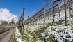 Schnee im Frühling