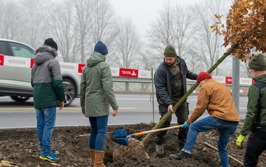 Baumpflanz-Aktion beim Rheindenkmal in Schaan