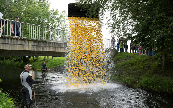 Entenrennen 2025
