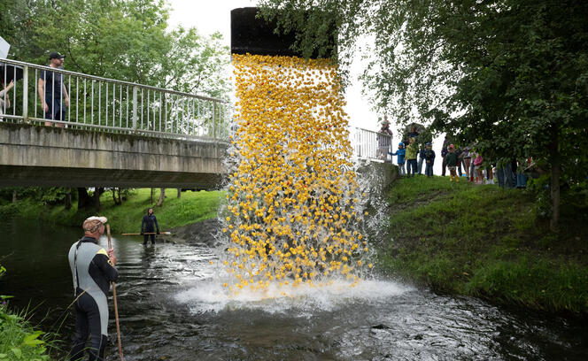 Entenrennen 2025