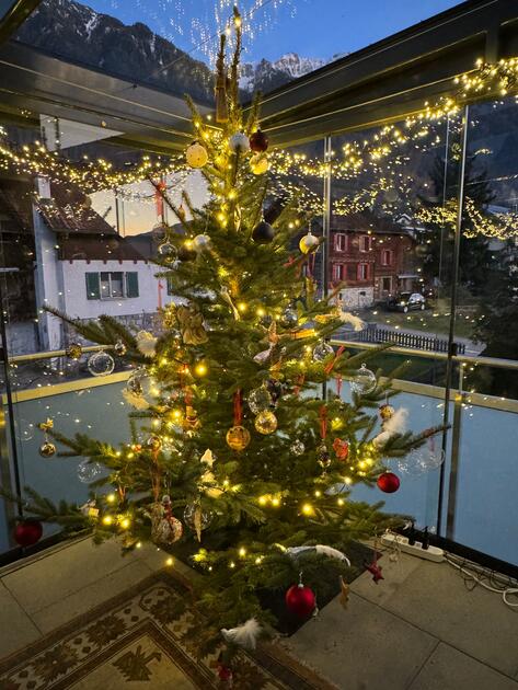 Christbaum Nehni und Enkel