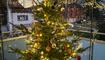 Christbaum Nehni und Enkel