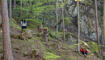 11. Sagenfestin Triesenberg (01.05.2026)