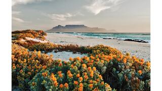 Leserreise nach Südafrika 2026