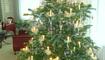 Weihnachtsbaum mit mundgeblasenen Gespinst-Glaskugeln