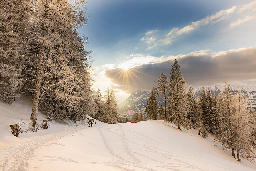 Winterruhe in Liechtenstein